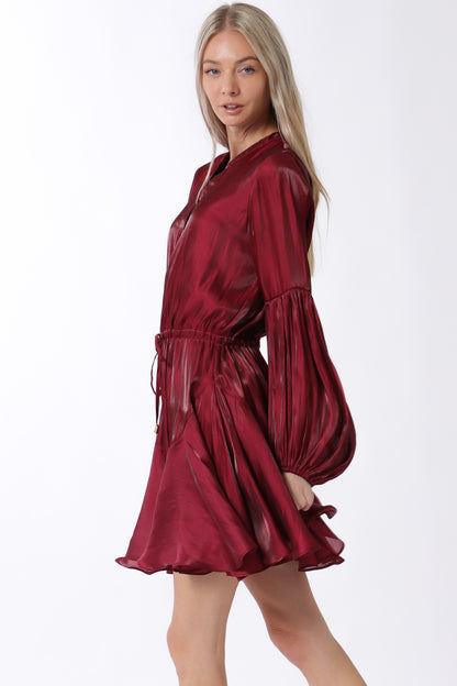 Long Sleeve Button Down Tie Mini Dress