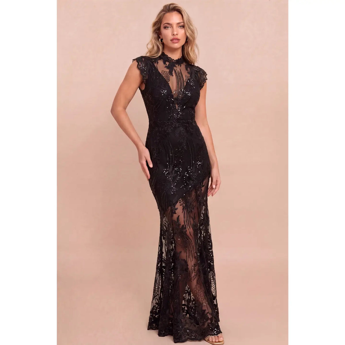 Embroidered Lace Maxi Dress//preorder//