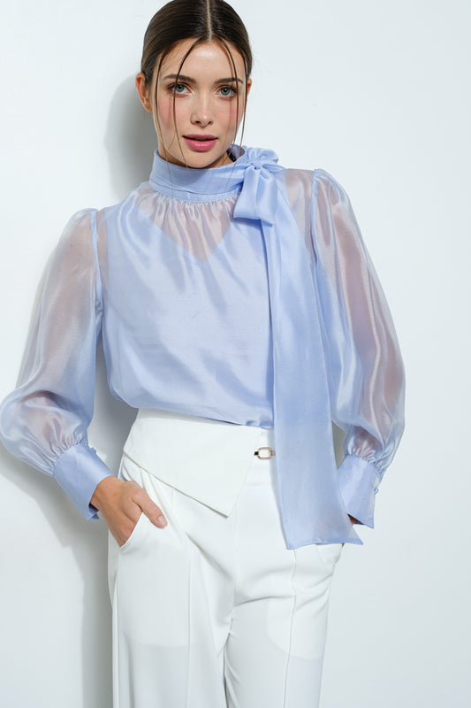 Sky Bleu Organza top